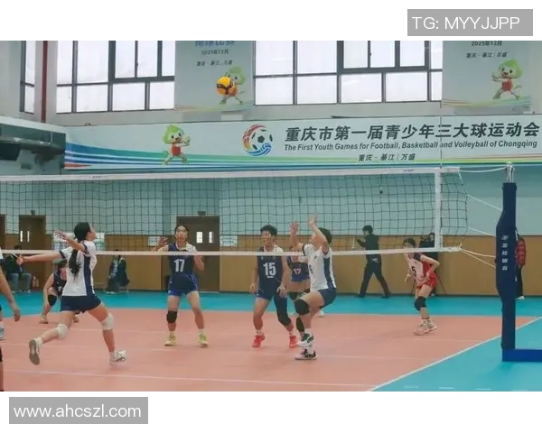 重庆排球队实力变革引发热议展现新风貌与发展潜力