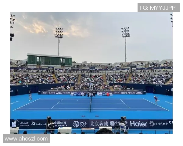 数据分析：北京网球队的速度表现